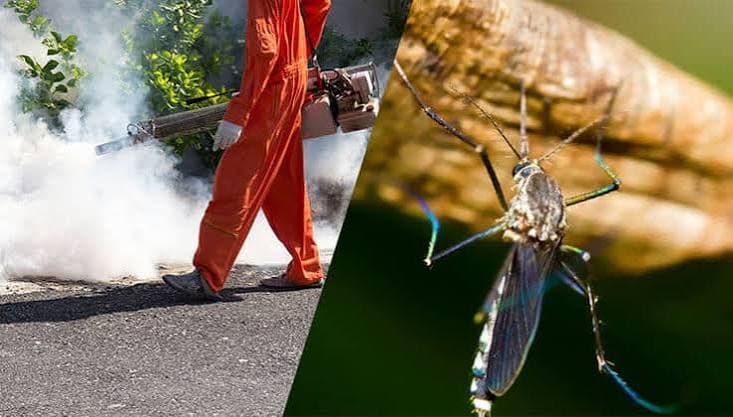 Mosquito Reduction Service