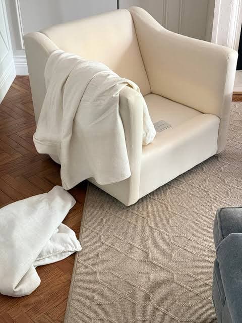 Sofa and Upholstery Refresh