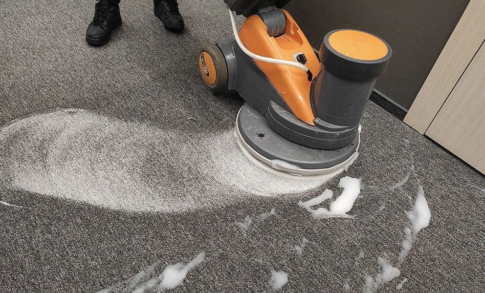 Professional Carpet Extraction
